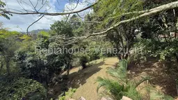 View 14