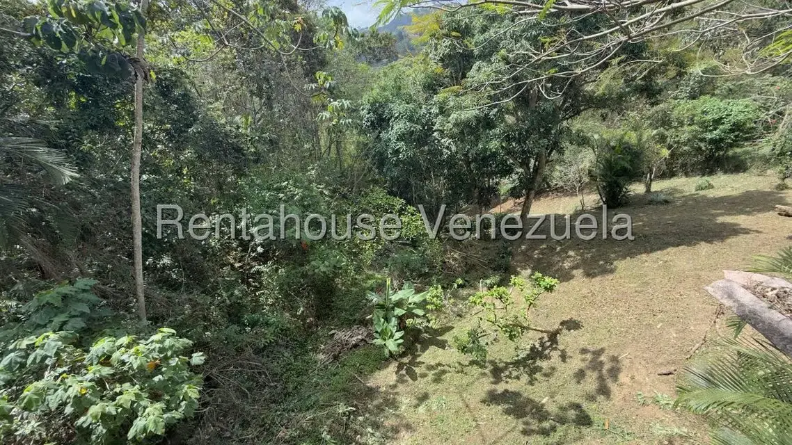 Casa (1 Nivel) en Venta en Oripoto, Distrito Metropolitano - 15