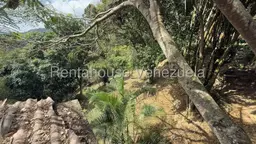 View 47
