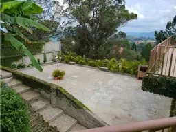 View 10