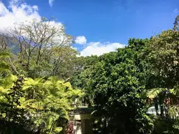 View 33