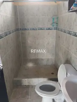 Vista 6
