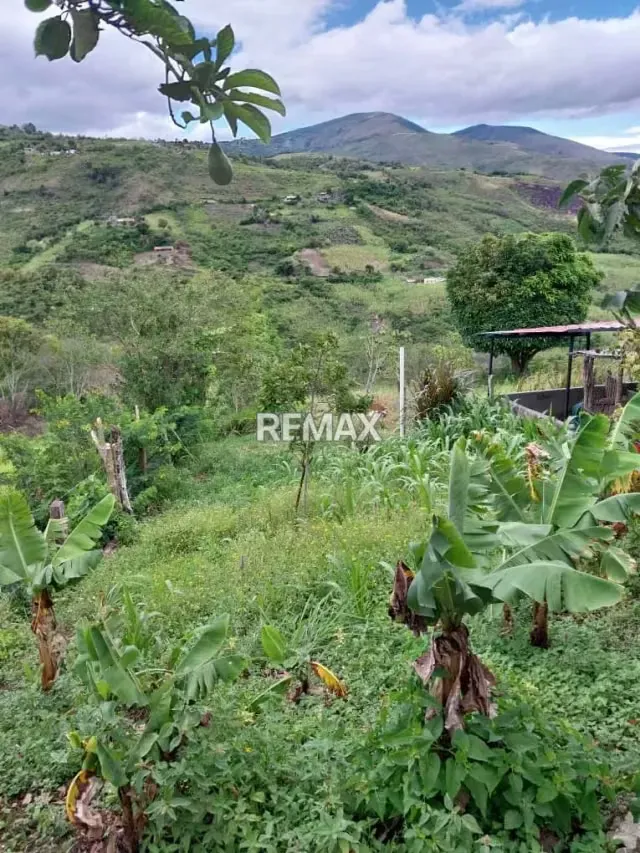 Venta Casa Rural con Fines Agricola en Lobatera - 7