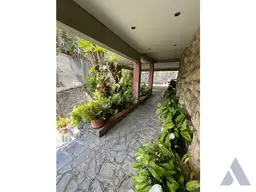 Vista 4