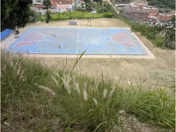 Vista 24