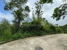 Vista 13