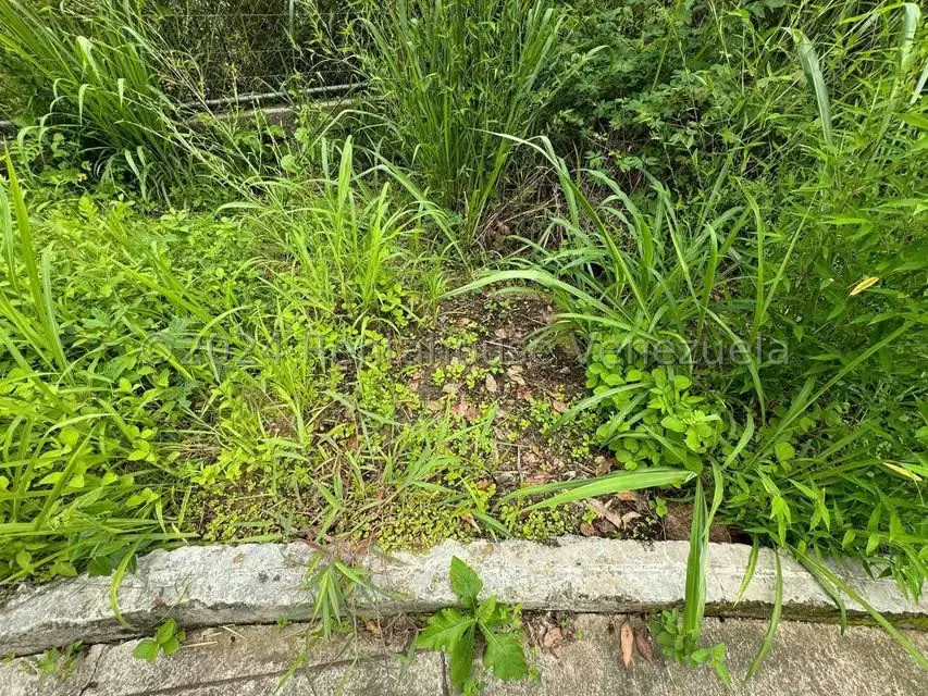 Terreno (Residencial) en Venta en Alto Hatillo, Distrito Metropolitano - 14