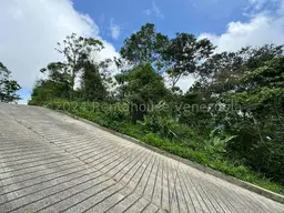 Vista 5