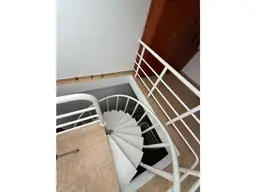 Vista 19