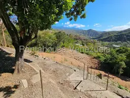 View 37
