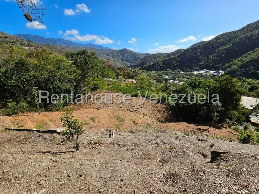 Casa (1 Nivel) en Venta en Mampote, Miranda - 38
