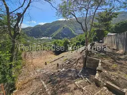 View 40