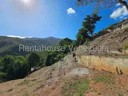 View 41
