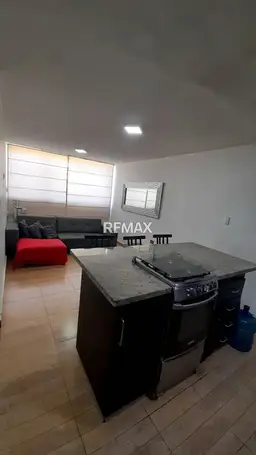 Vista 6