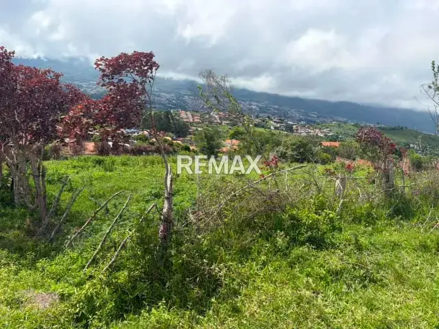 Terreno. Venta. El Valle