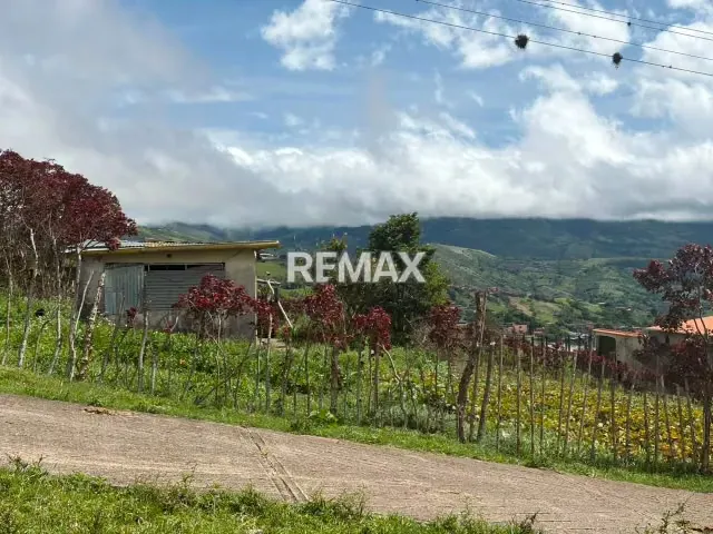 Terreno. Venta. El Valle - 3