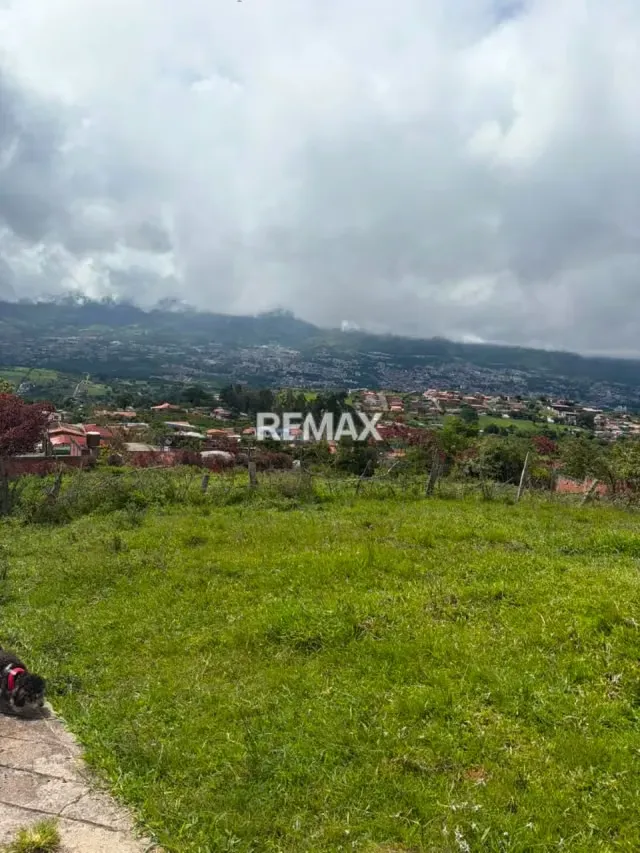 Terreno. Venta. El Valle - 4