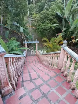 View 5