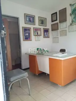Vista 3