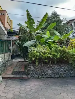 Vista 5