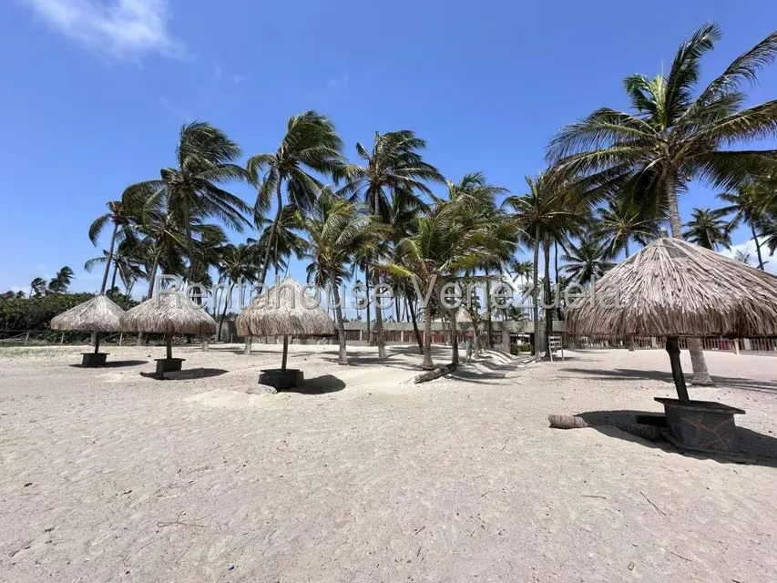 Apartamento (1 Nivel) en Venta en Boca de Aroa, Falcon - 29
