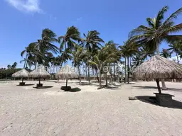 Vista 29