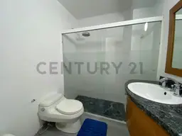 Vista 20
