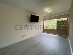 Vista 24