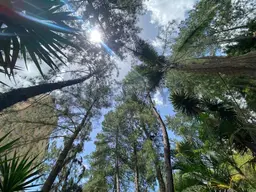 Vista 7