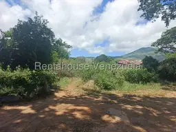 View 2