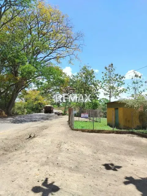 EN VENTA FINCA EN CARRETERA NACIONAL MATURÍN-CARIPE - 16
