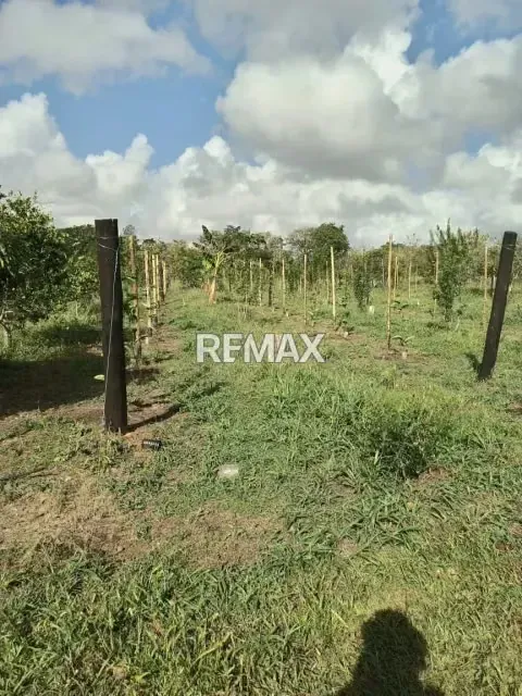 EN VENTA FINCA EN CARRETERA NACIONAL MATURÍN-CARIPE - 17