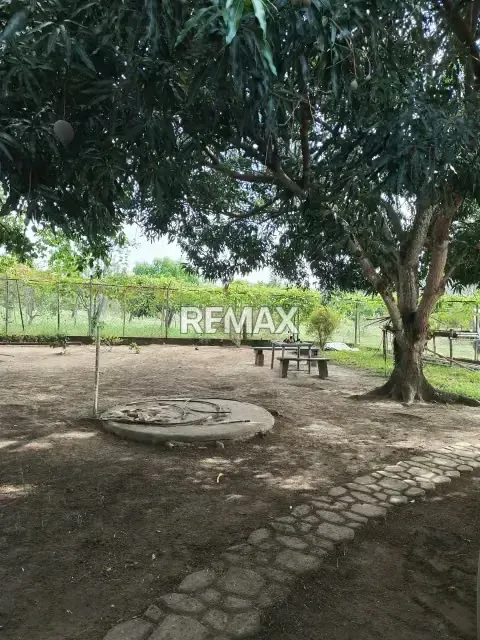 EN VENTA FINCA EN CARRETERA NACIONAL MATURÍN-CARIPE - 3