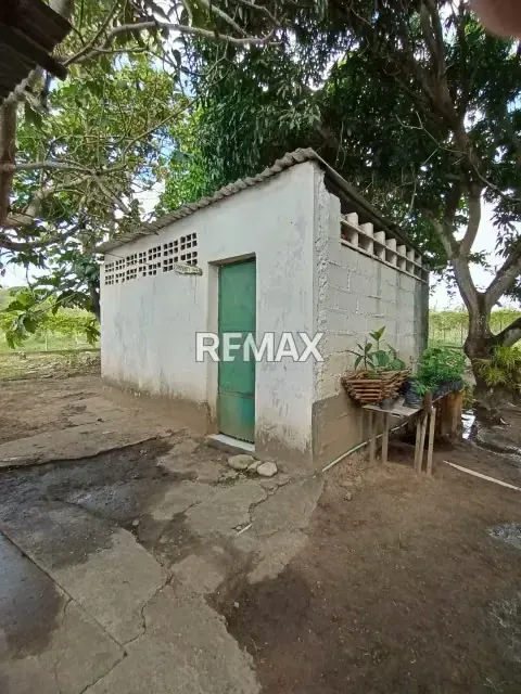EN VENTA FINCA EN CARRETERA NACIONAL MATURÍN-CARIPE - 4