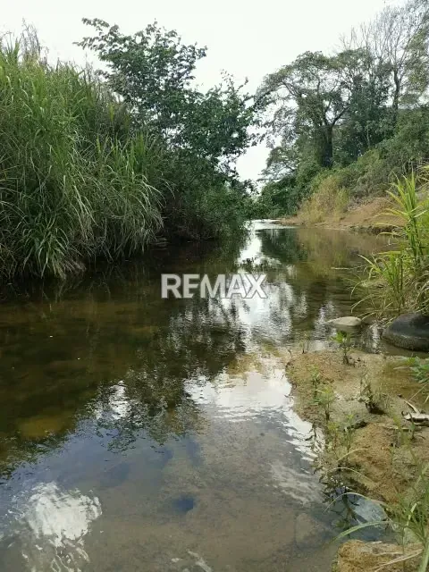EN VENTA FINCA EN CARRETERA NACIONAL MATURÍN-CARIPE - 8
