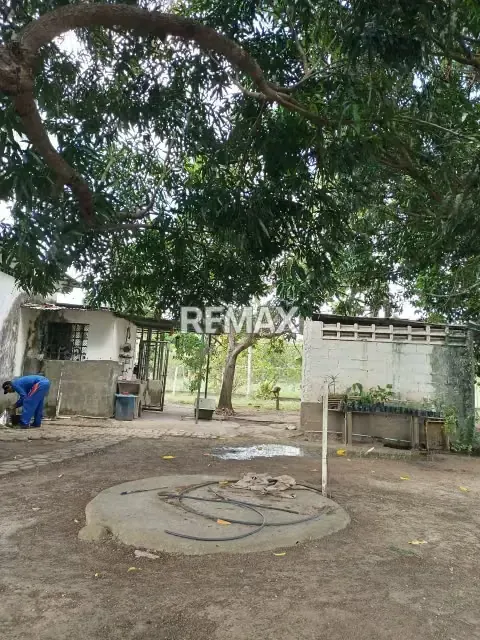 EN VENTA FINCA EN CARRETERA NACIONAL MATURÍN-CARIPE - 9