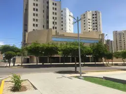 Vista 13