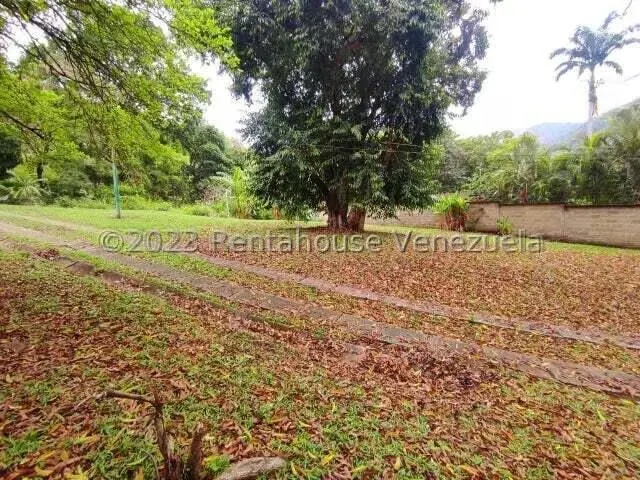 Terreno (Residencial) en Venta en El Castaño, Aragua - 15