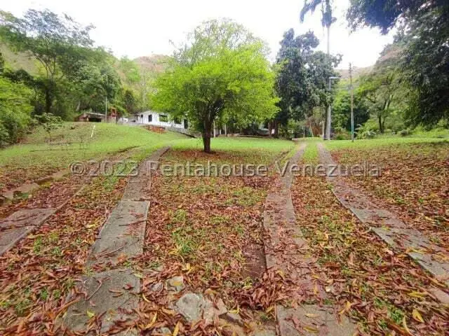 Terreno (Residencial) en Venta en El Castaño, Aragua - 19