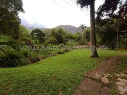 Vista 24