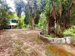 Vista 6