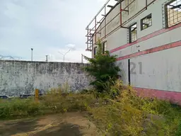Vista 2