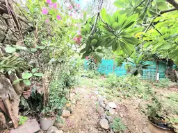 View 18