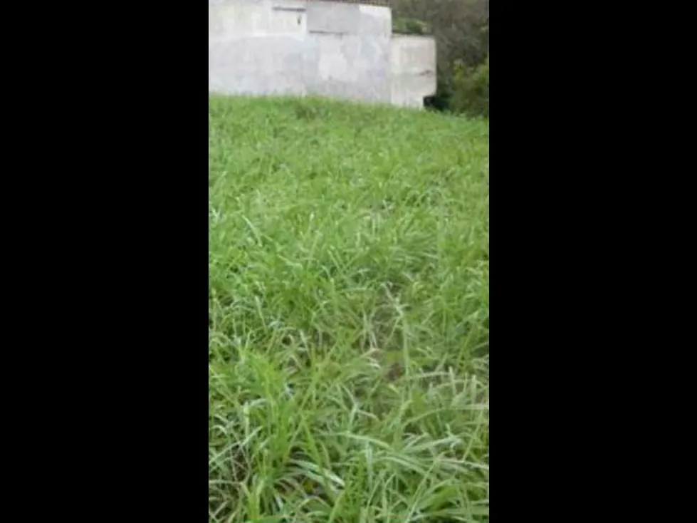 Venta terreno 600m2 La Boyera 3052 - 4