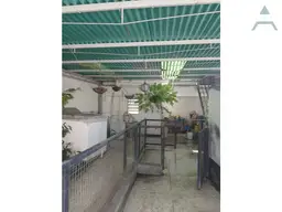 View 15
