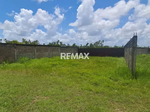 AMPLIA PARCELA DE 20.000 m² EN VENTA EN LA PRINCIPAL DE TIPURO, MATURÍN - 2