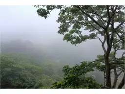 View 26
