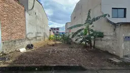 Vista 1