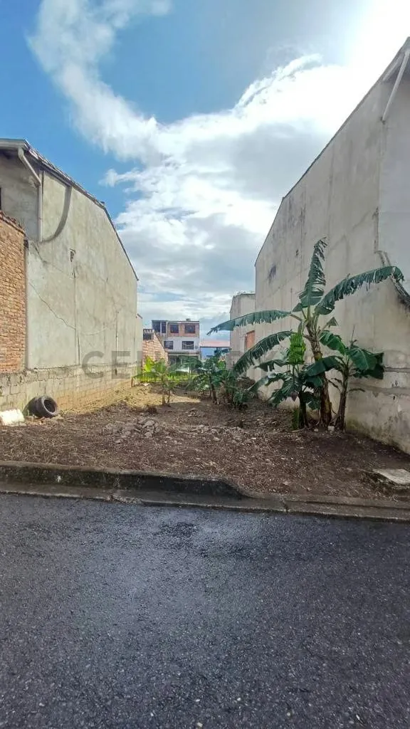 Terreno en venta palo gordo - 2