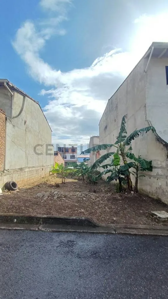 Terreno en venta palo gordo - 3